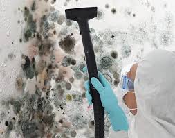 Best Forensic Mold Investigation  in Arlington, MN